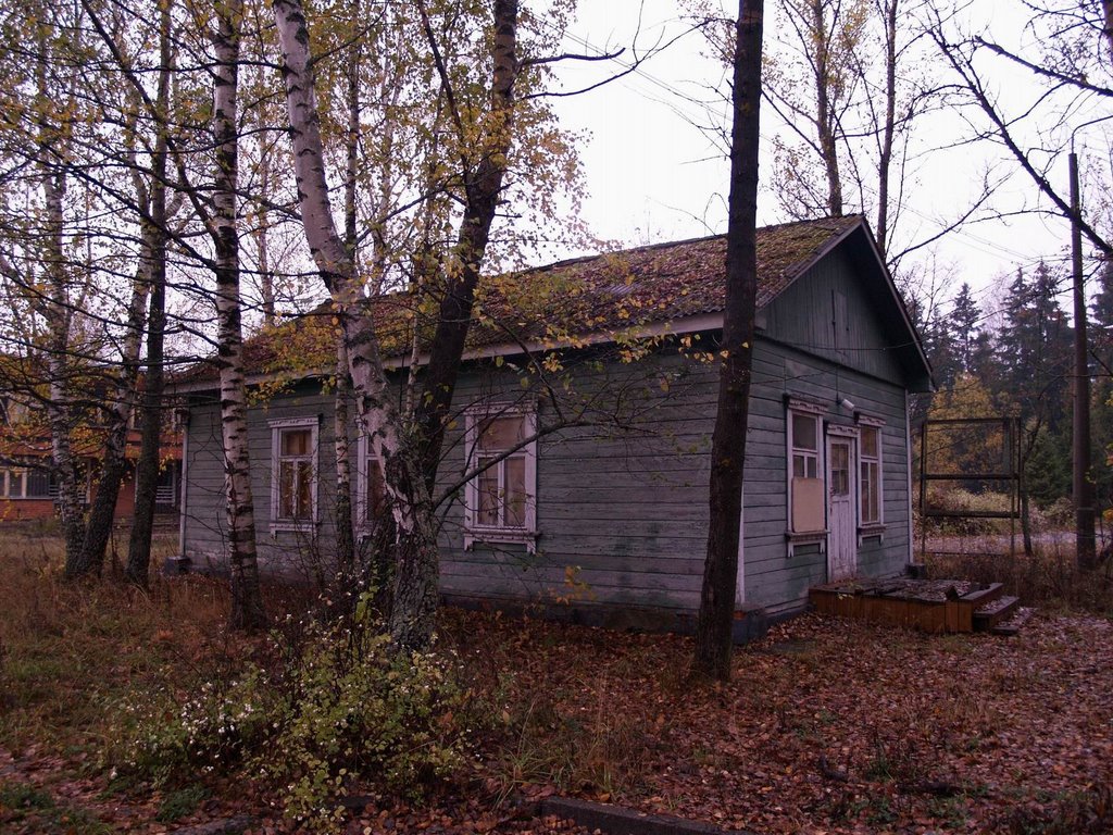 в 80х это был кружок "Фотографии"
