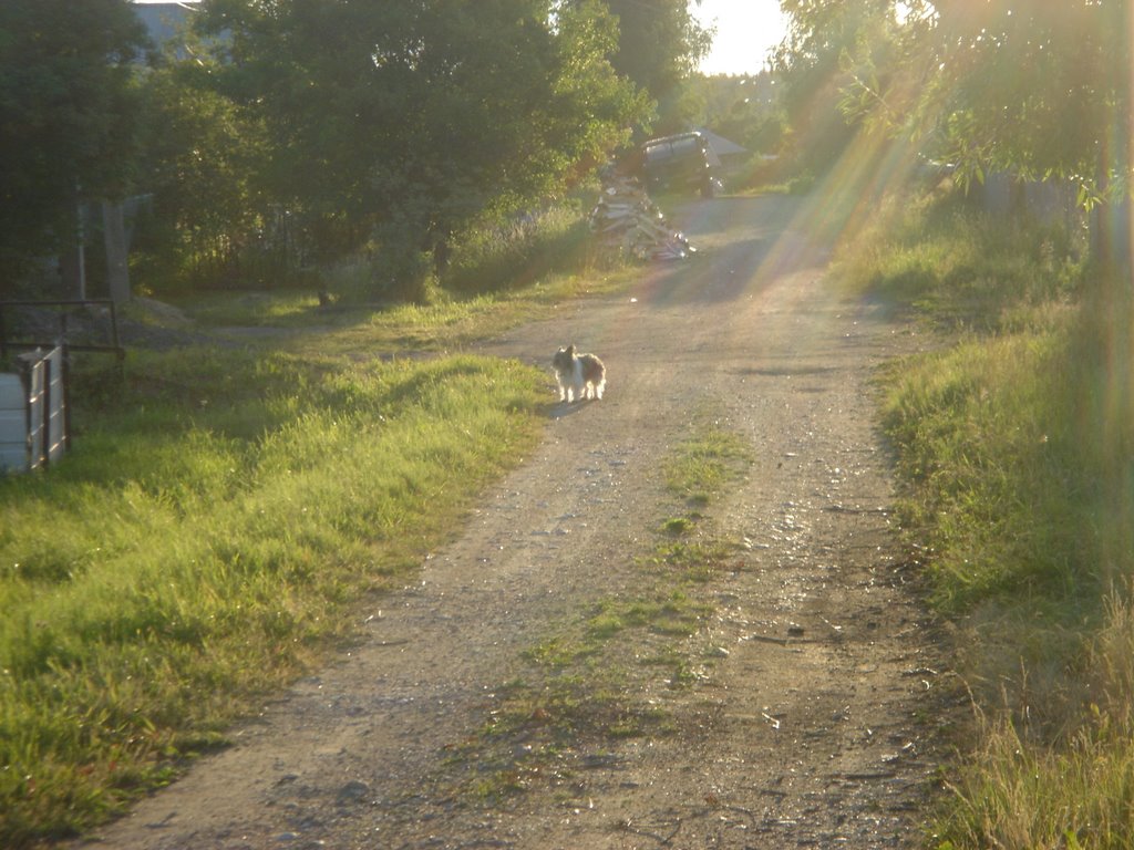Кузовлево
