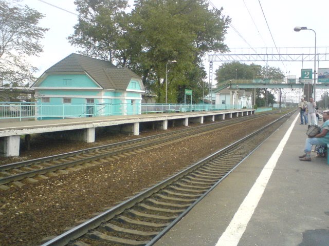 Станция Дорохово. 25.08.2010