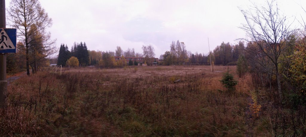 Футбольное поле п/л Глобус
