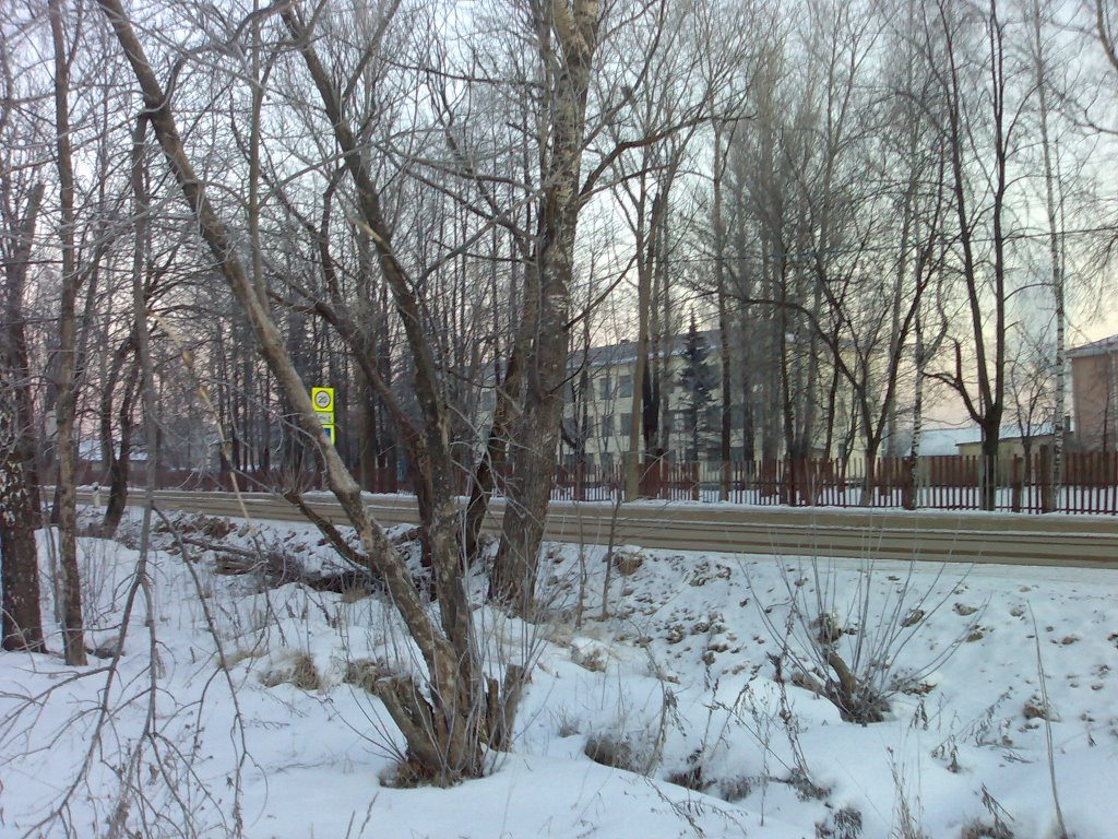 Школа в Дорохово