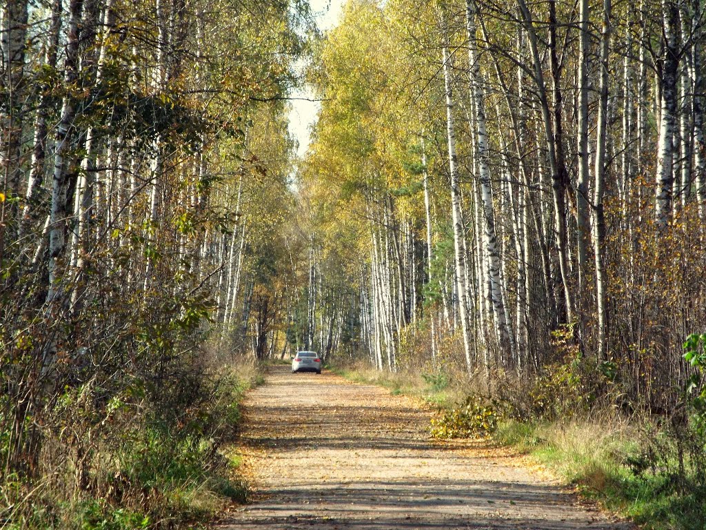 Аллея любви, октябрь 2013