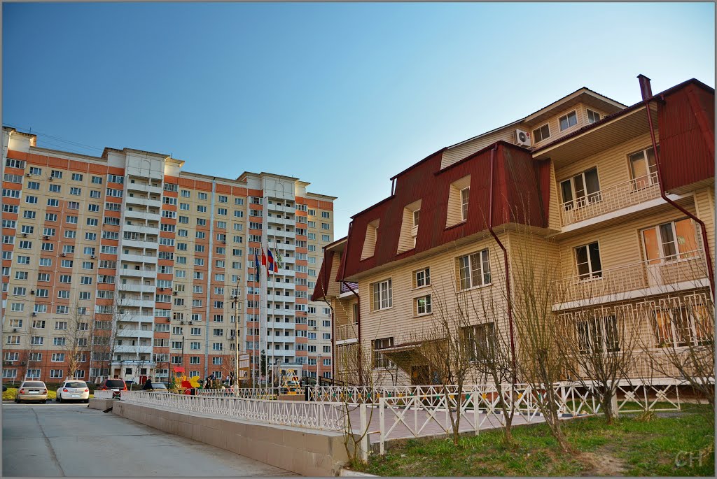 ВНИИССОК. Двор