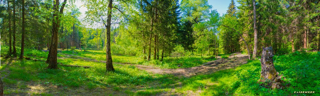 Развилка