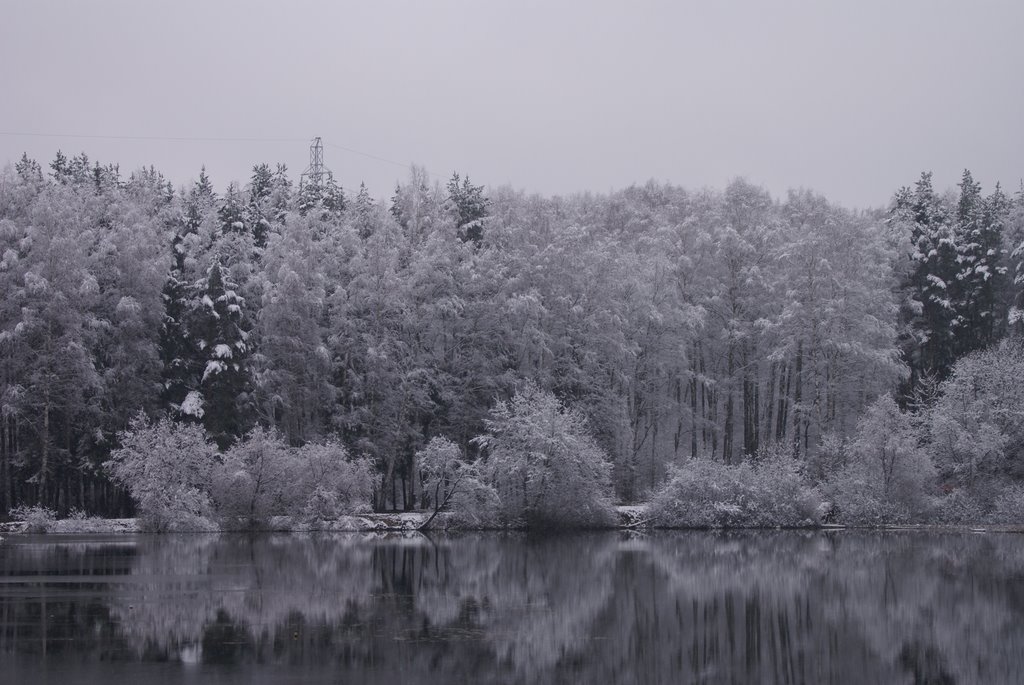 Moscow region. Lake Lesnoe.