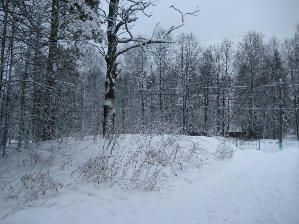 Зима