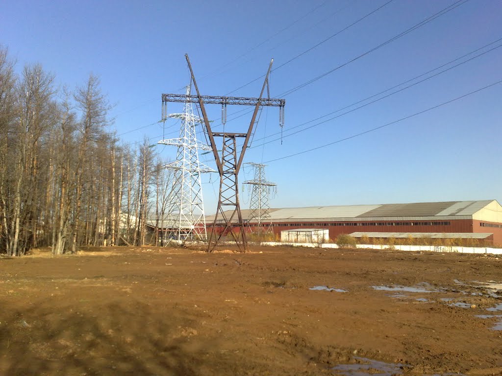 Остатки старой опоры типа "Рюмка