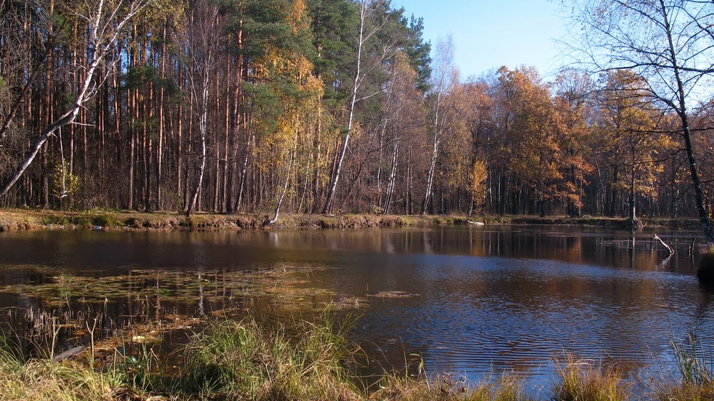 золотая осень