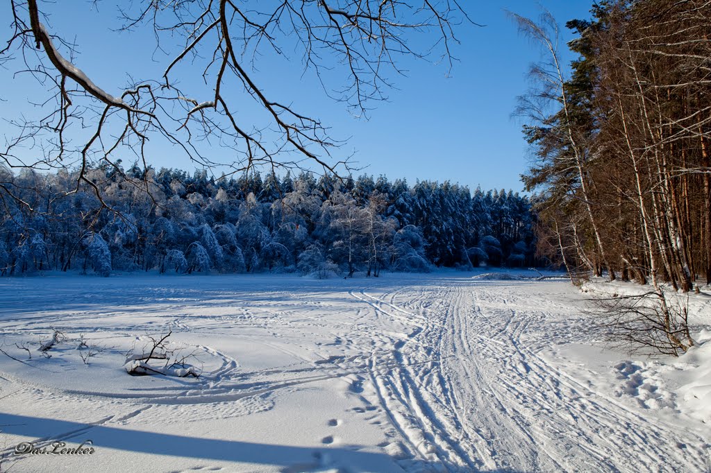 лесное озеро