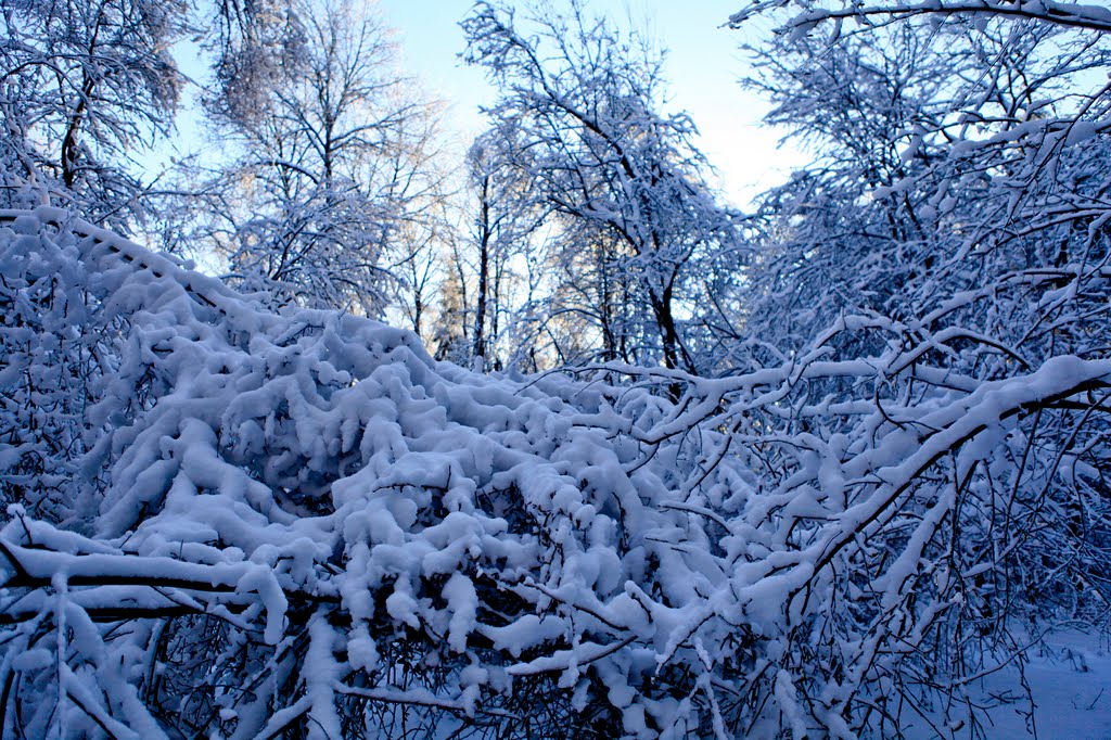 Зима 2011