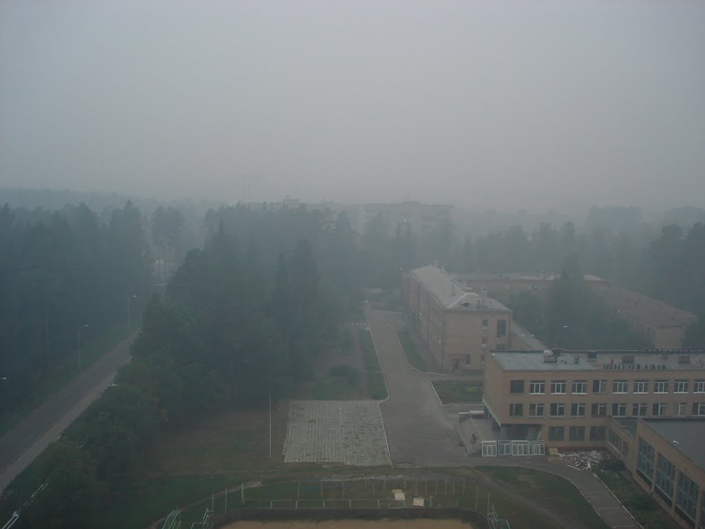 Вид из окна