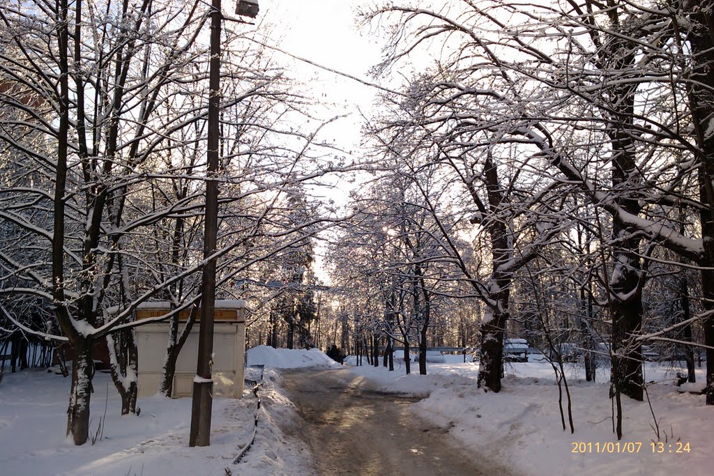 Ледяной дождь 2011
