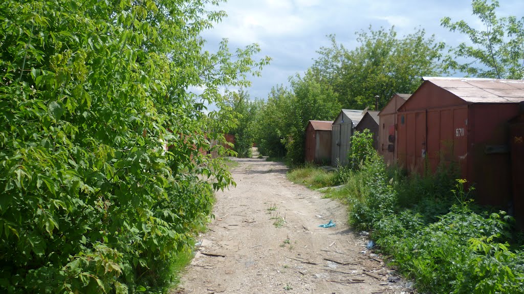 ГСК "Лесные Дали"