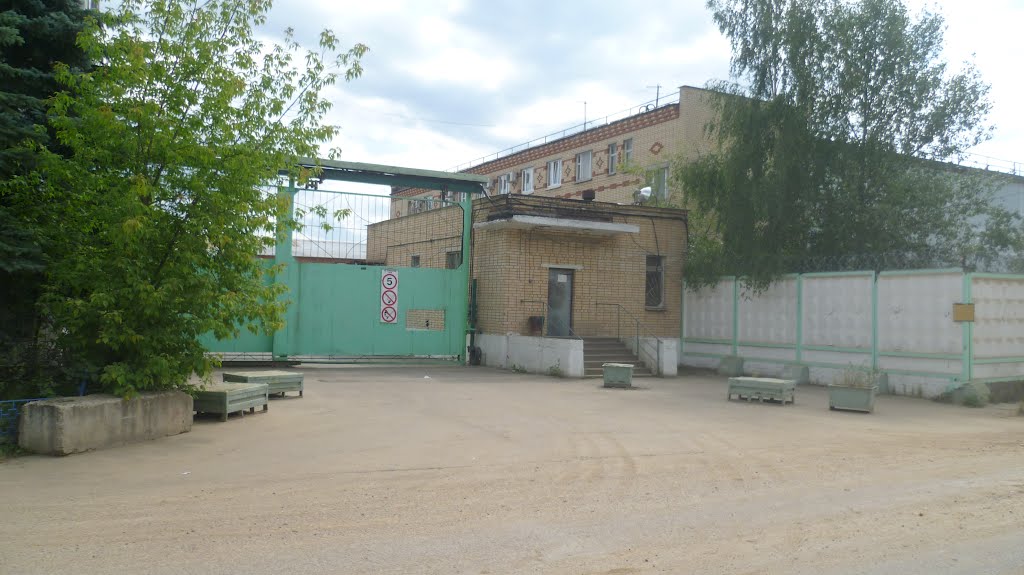 Напротив ГСК "Лесные дали"