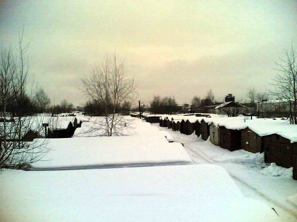 ГСК Лесные дали