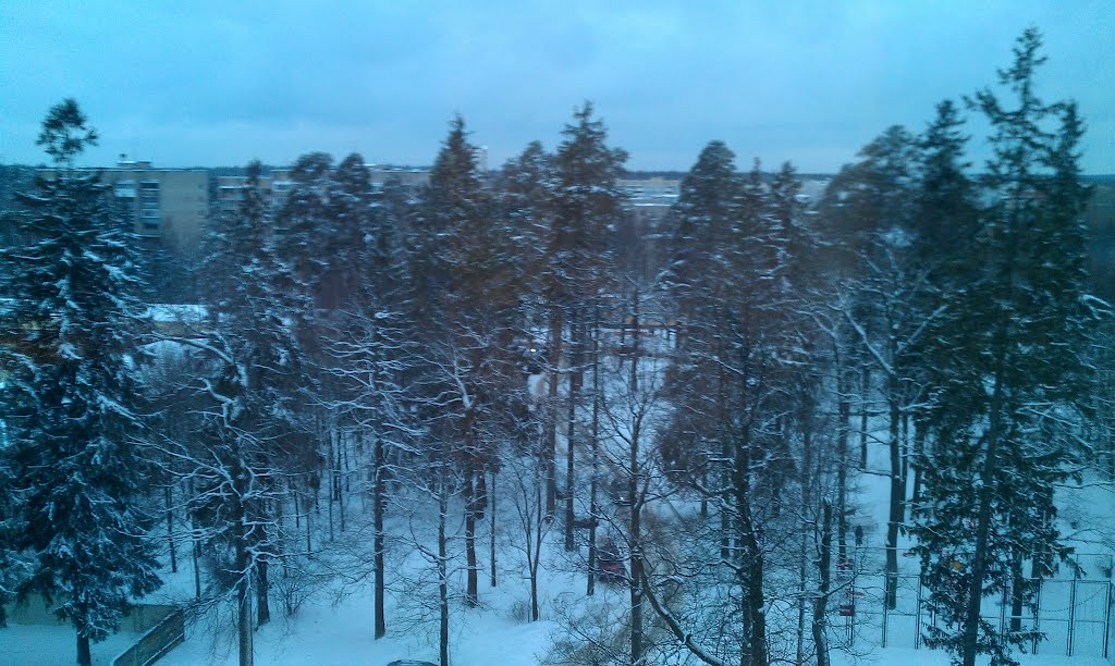 Власиха