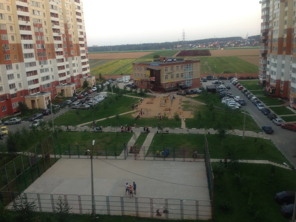 Вид на поля ВНИИСОК из окон ул.Дружба 17