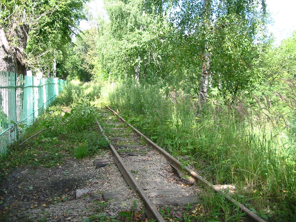 УЖД Егорьевского ХБК