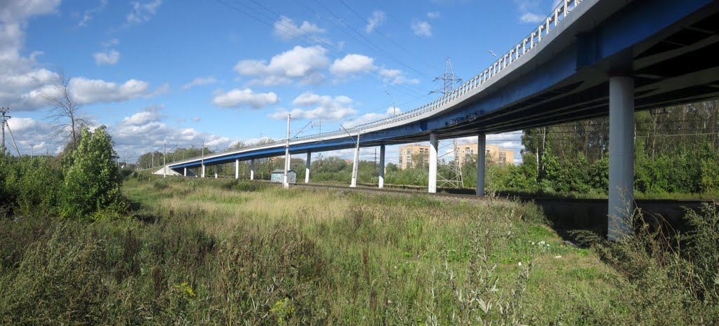 Автомобильный мост около д. Сергеевки
