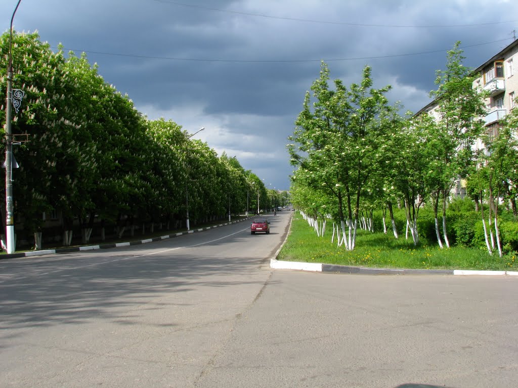 Пр.50лет Октября (весна 2010)