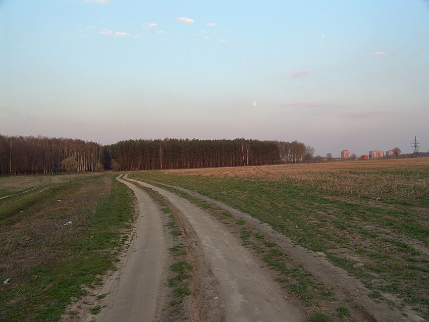 Лес рядом с Климовском. Май 2004 года