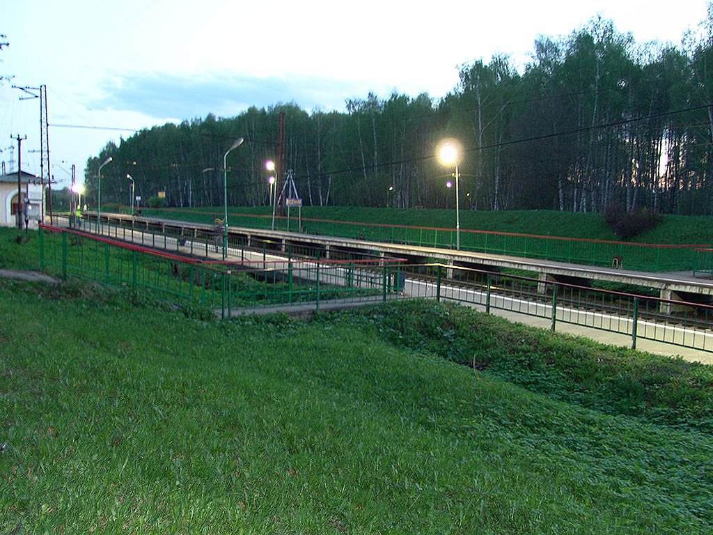 Климовск. Платформа "Весенняя"