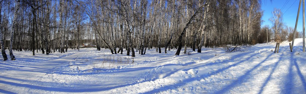 Лес у ж/д платформы "Весенняя". Начало марта 2011 г.