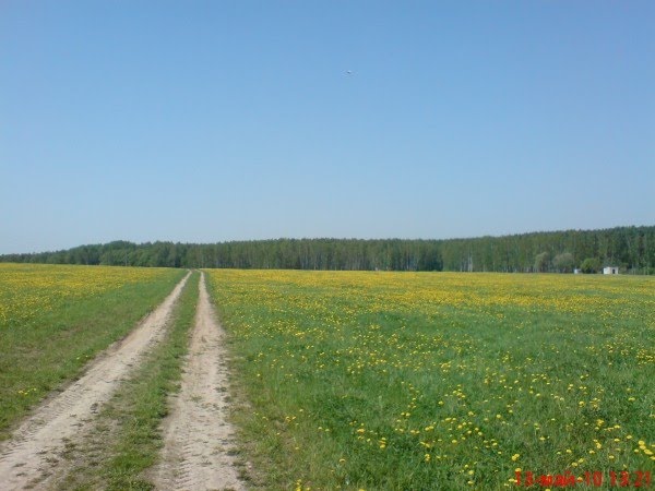 ::Климовск, поле на Весенней::