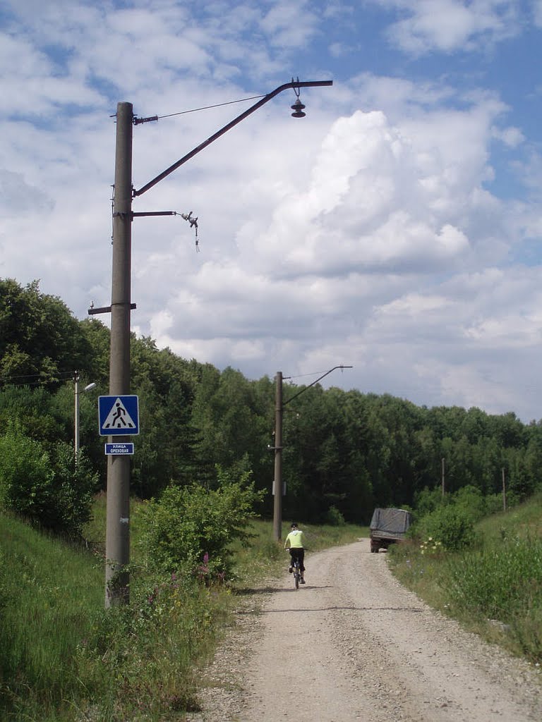 улица Ореховая