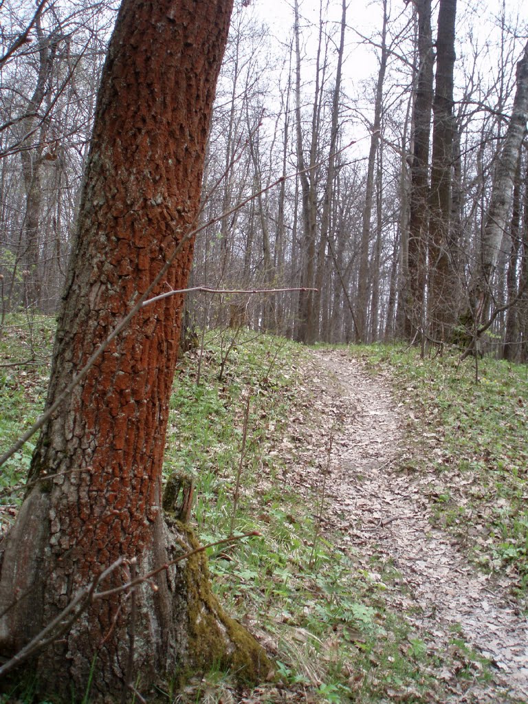 Тропка