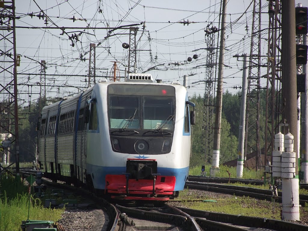 Рельсовый автобус РА 2