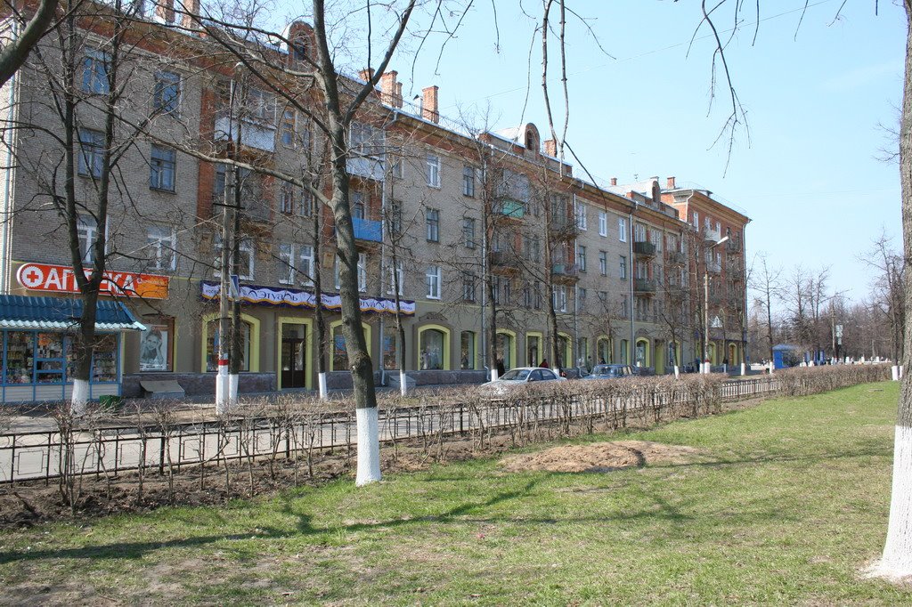Zhukovsky Mayakovskaya str.
