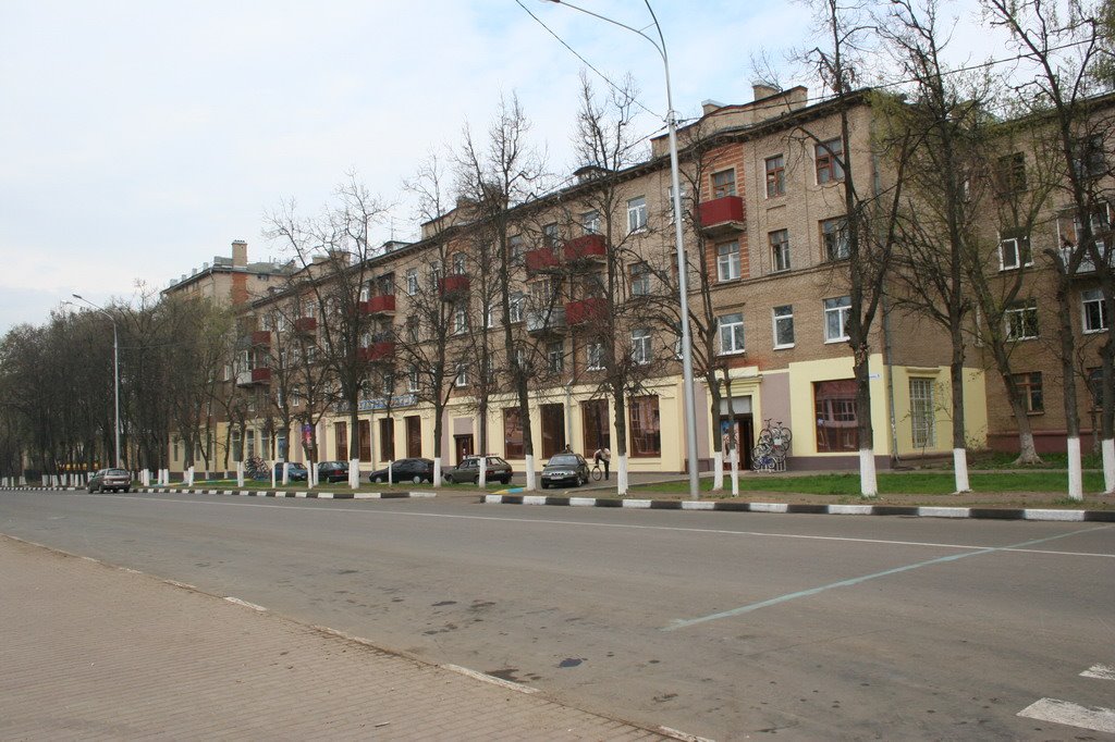 Zhukovsky Pushkina str.