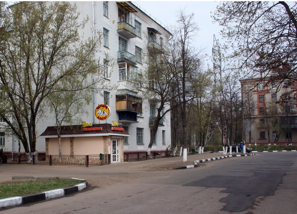 Zhukovsky Mayakovskaya str.