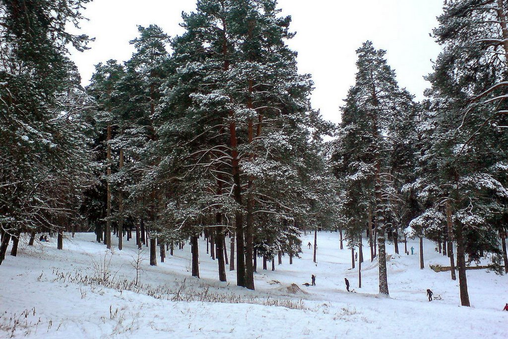Зима в парке
