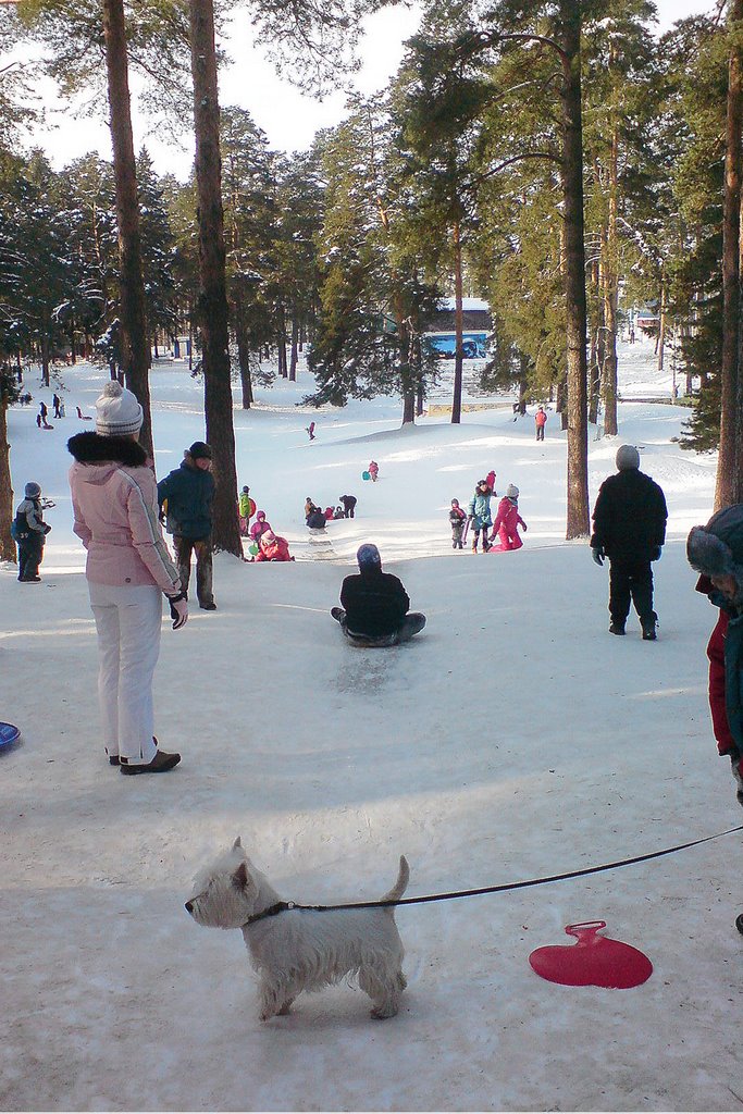 В парке
