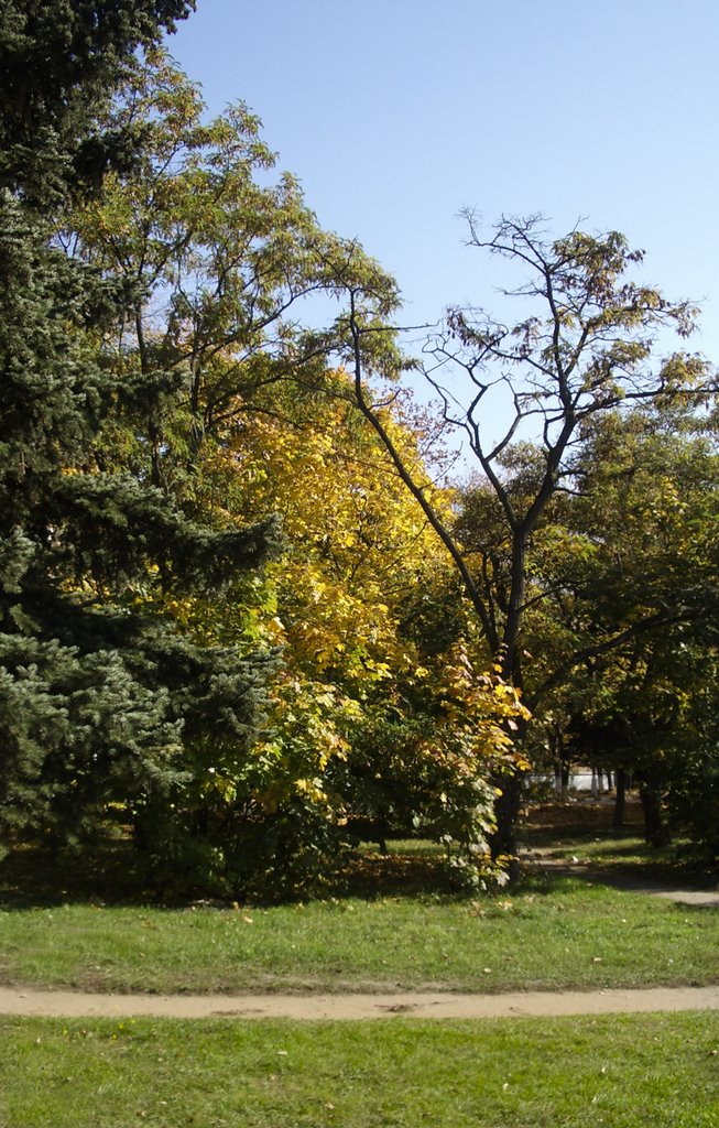 Жуковский