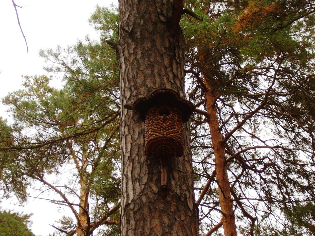 Гламурный скворечник в парке/Glamorous birdhouse in the park