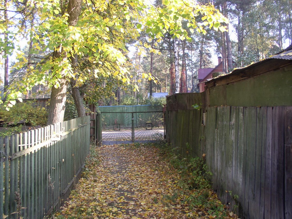Ильинский, Ленинская, 48 / 48, st. Leninskaya, Ilinskiy
