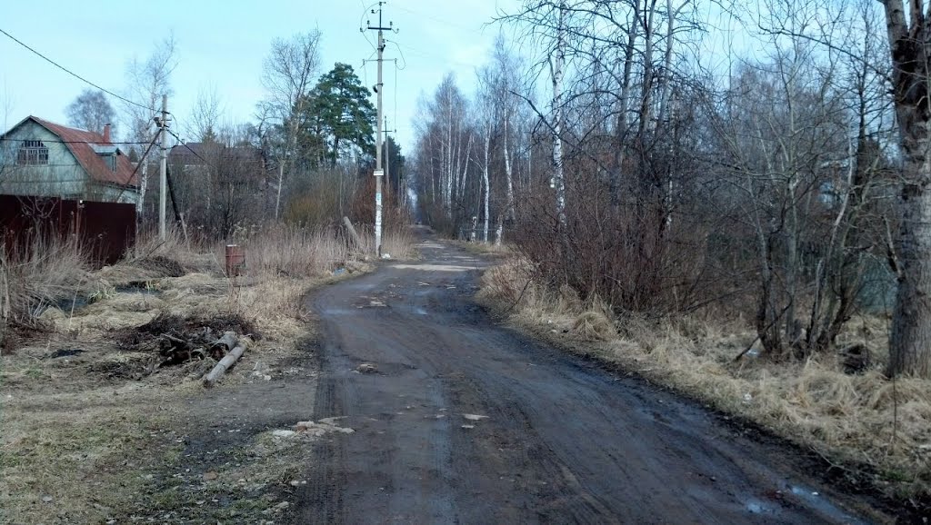 Дачная дорога
