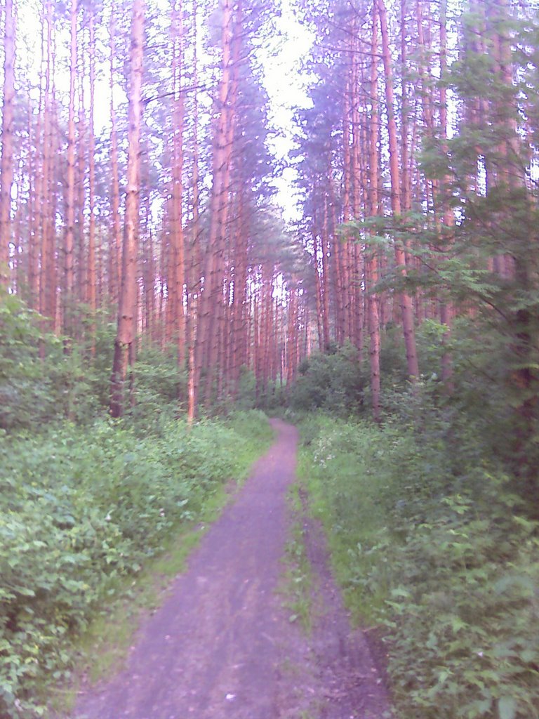 Road