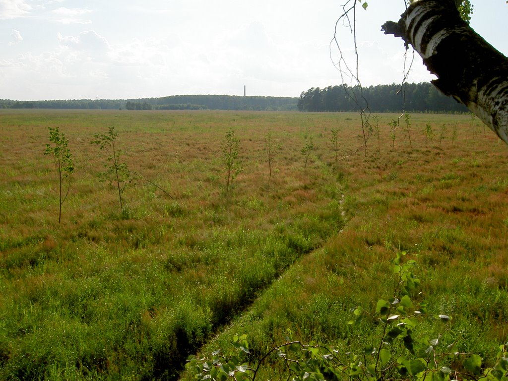 Поле 06.2005