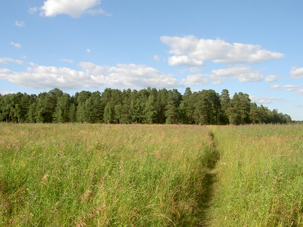 Поле 07.2005