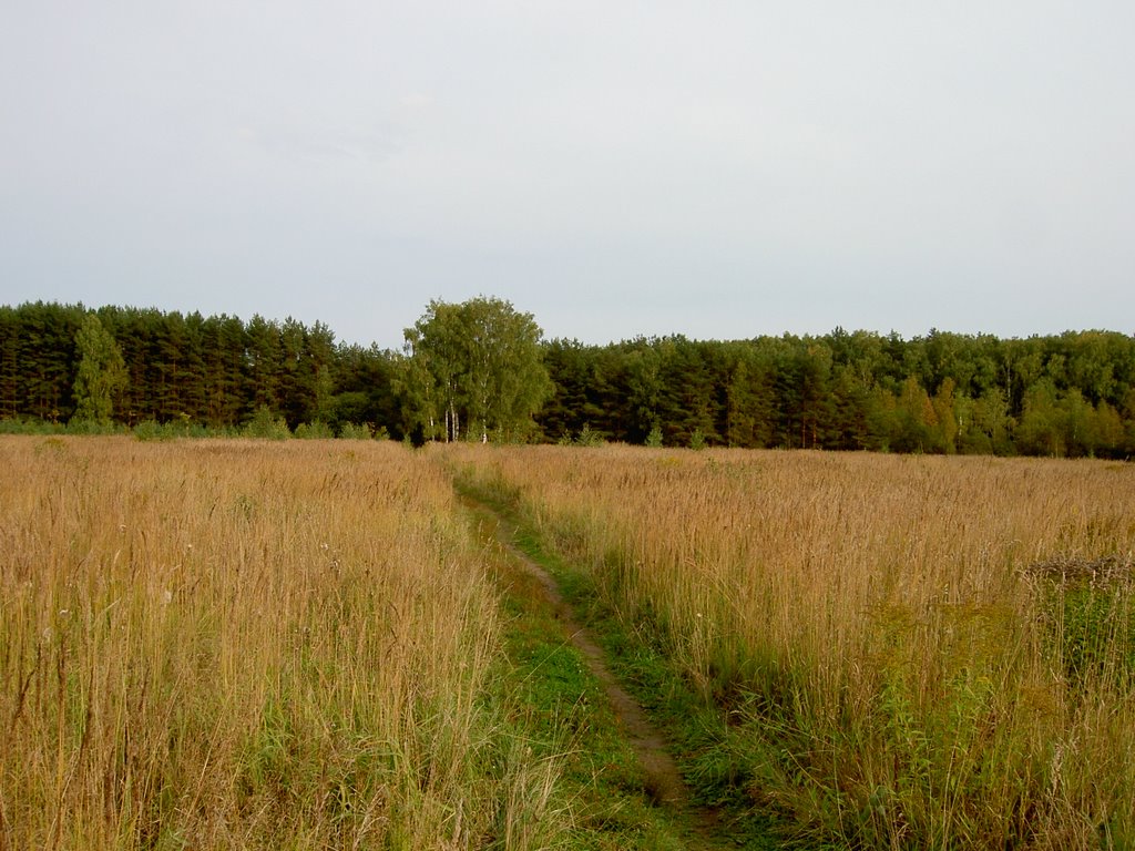 09.2009