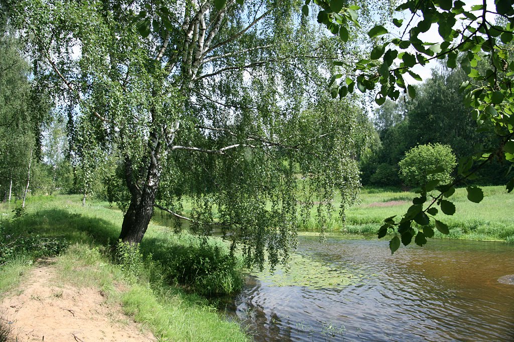 р.Клязьма (маленький пляж)