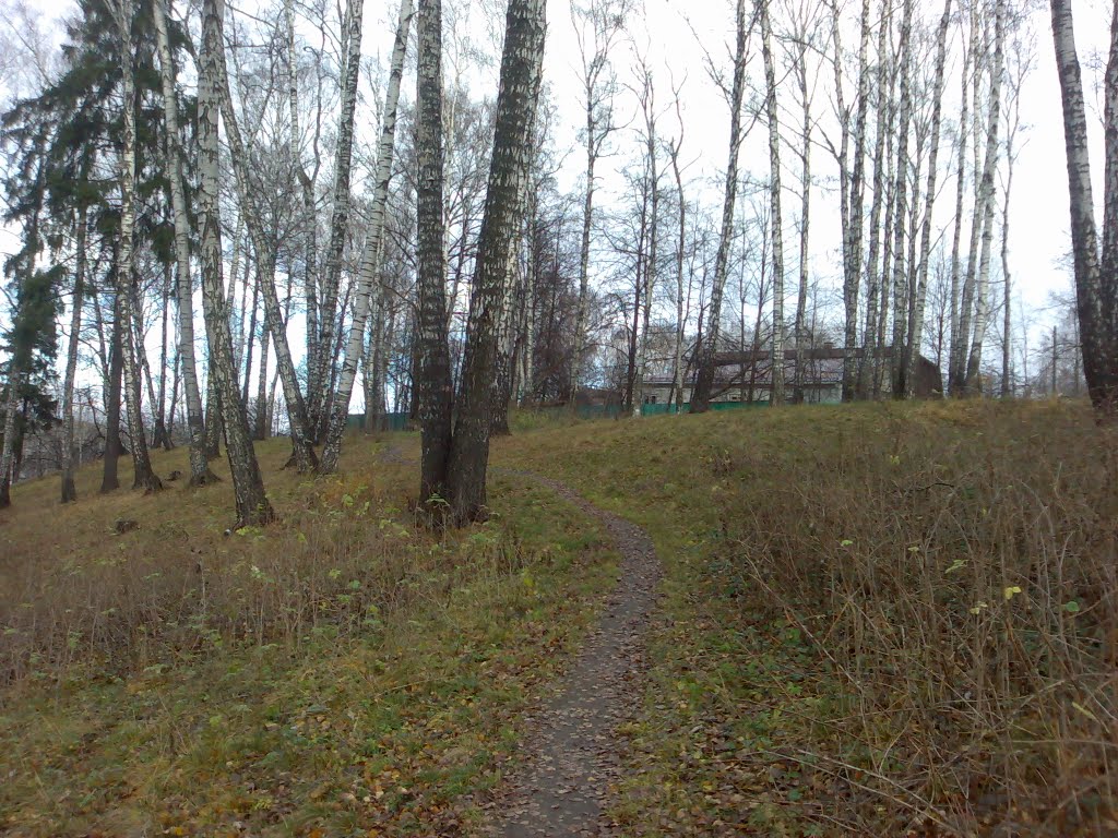 овраг у Клязьмы