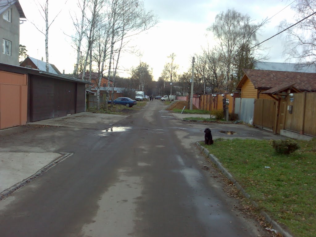 ул. Циолковского (от Загорянки)