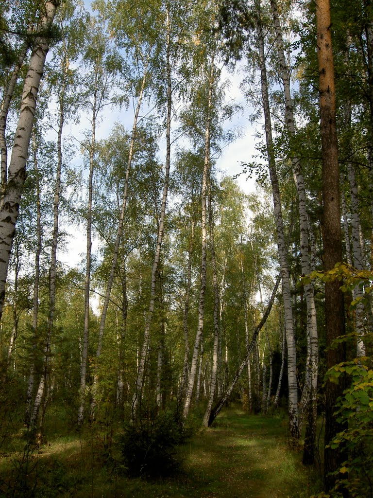 09.2010