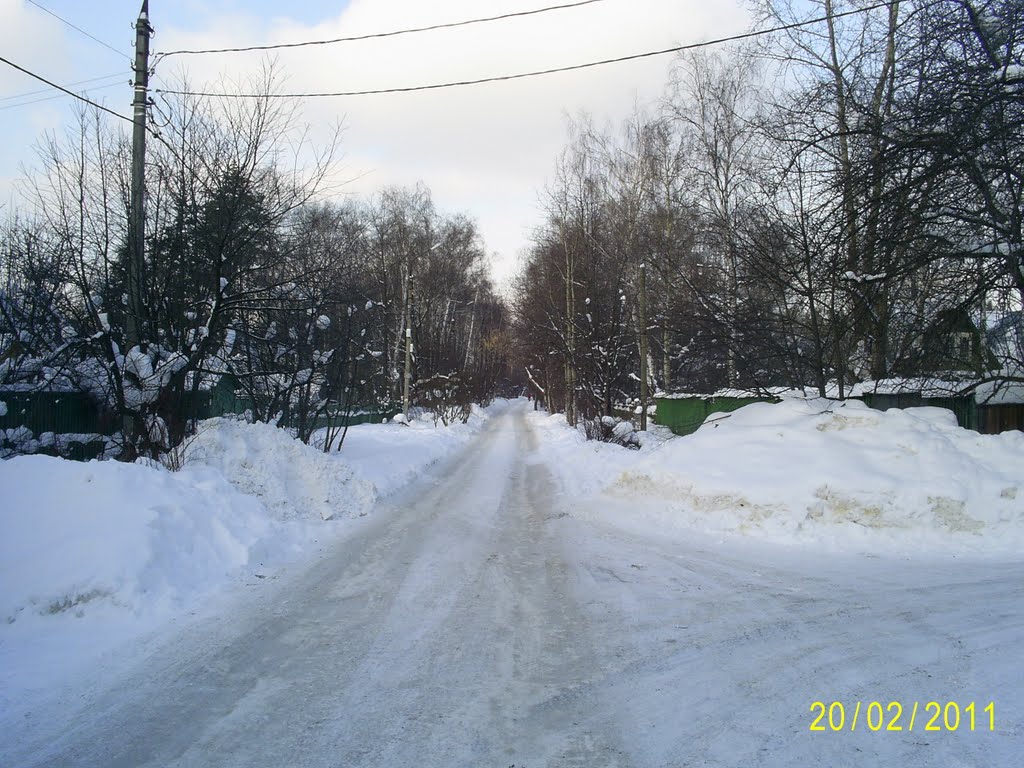 Загорянка, ул. Школьная