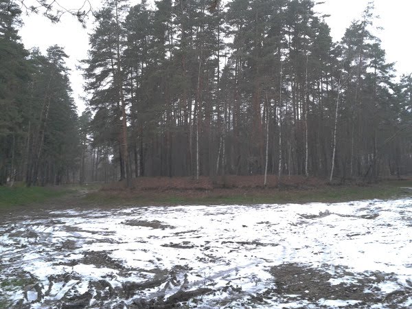 Пруд Баранка